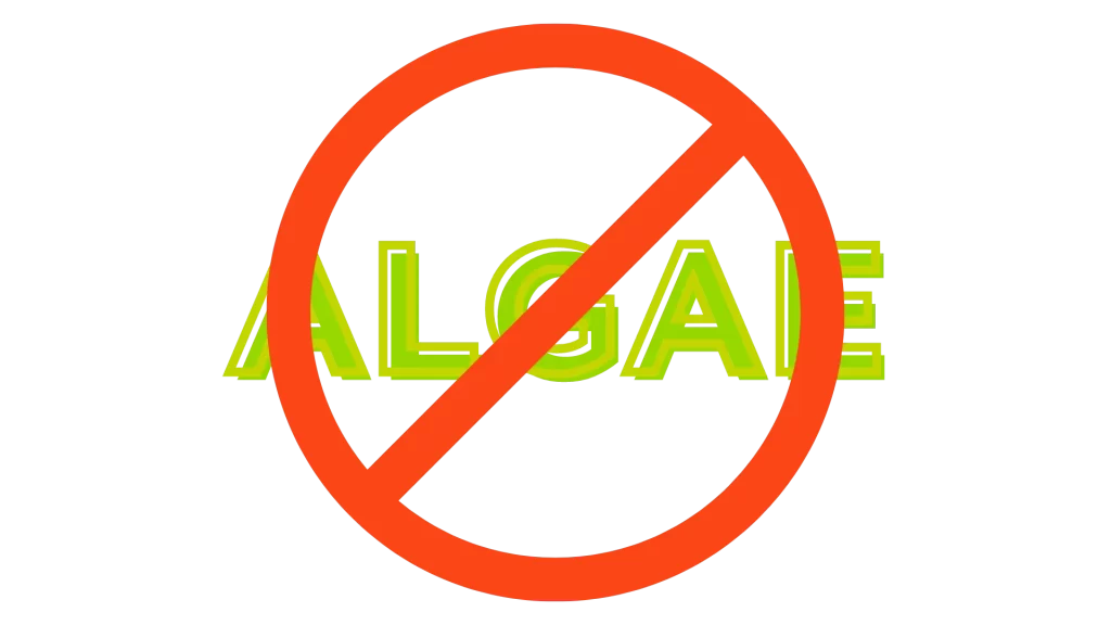The word algae circled and crossed out in red
